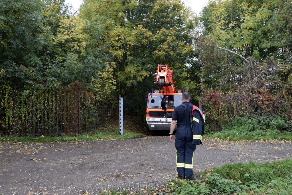 Einsatz BF Koeln PKW im See Koeln Esch P244.JPG - Miklos Laubert